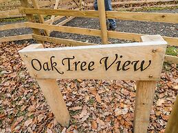 Oak Tree View