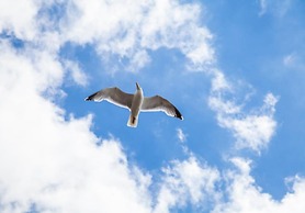 Right On Bright On Apartment 1A - City Centre Luxury Apartments