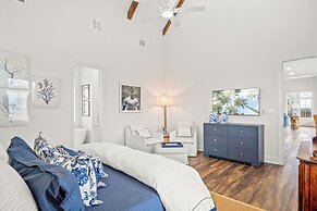 Summer Catch 401 COA