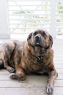 Sand In My Boots 303 HI