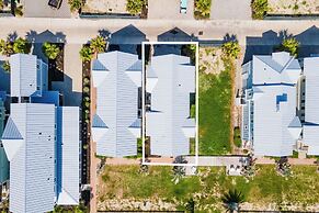 The Violet Palm 220 LAU