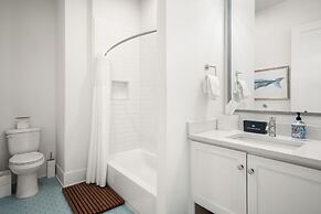 The Violet Palm 220 LAU