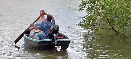 Morning Guest can see Momkeyies and Birds