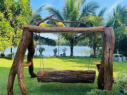 Morning Guest can see Momkeyies and Birds