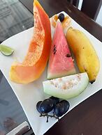 Morning Guest can see Momkeyies and Birds