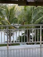 Morning Guest can see Momkeyies and Birds