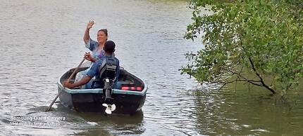 Morning Guest can see Momkeyies and Birds