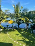 Morning Guest can see Momkeyies and Birds