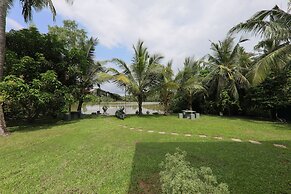 Morning Guest can see Momkeyies and Birds