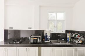 Morning Guest can see Momkeyies and Birds