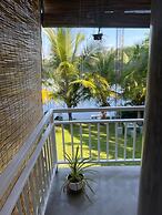 Morning Guest can see Momkeyies and Birds