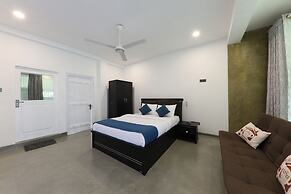 Morning Guest can see Momkeyies and Birds