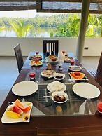 Morning Guest can see Momkeyies and Birds