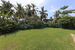 Morning Guest can see Momkeyies and Birds