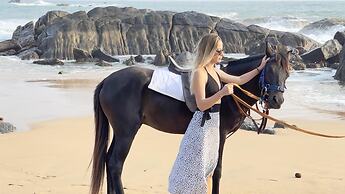 Morning Guest can see Momkeyies and Birds