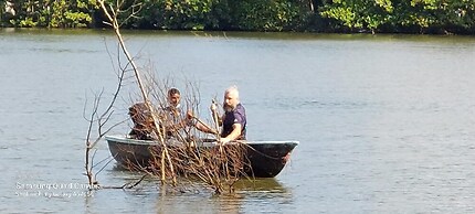 Morning Guest can see Momkeyies and Birds