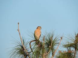 14 Room Golf Tennis Villa