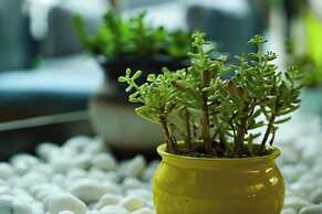 Even Chengdu Jinniu by IHG