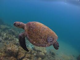 Pousada Frezza Mergulho