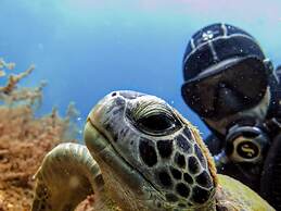 Pousada Frezza Mergulho