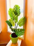 BedExpress hotel hostel