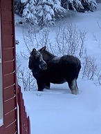 Moose Trail Retreat 3 Bedroom Home by RedAwning