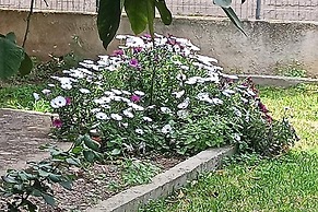 Lovely 2-bedroom Villa in Akrata, all Seasons!