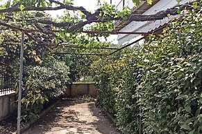 Lovely 2-bedroom Villa in Akrata, all Seasons!