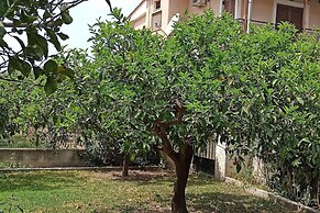 Lovely 2-bedroom Villa in Akrata, all Seasons!