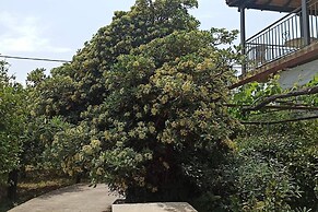 Lovely 2-bedroom Villa in Akrata, all Seasons!