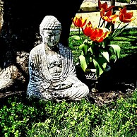 the Design Apartment at Sanctuary of the Swan Wellness Hotel Swan Resc