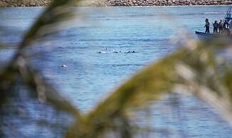 Room in B&B - Master Suite Family Room With Views of the Ocean