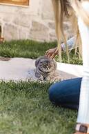 Doda Artisanal Cave Hotel - Adults Only