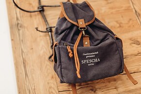 Haus Spescha