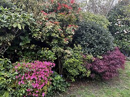 Beautiful Cottage Near Harlech With Ocean Views