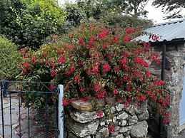 Beautiful Cottage Near Harlech With Ocean Views