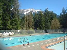 13SL - Hot Tub - Pets OK - WiFi - Sleeps 8