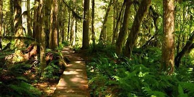 84SW - Sauna - Soaker Tub - Fireplace - Sleeps 6