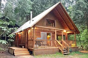 17MBR - Log Cabin - BBQ - Pets Ok - WiFi - Sleeps 8