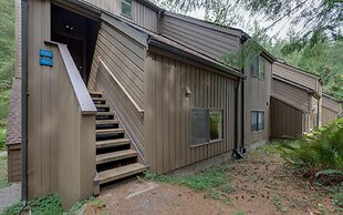 23SW - Luxurious - Wi-Fi - Fireplace - Sleeps 4