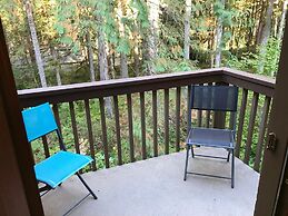 14SW - Fireplace - Dishwasher - Washer/Dryer - Sleeps 6