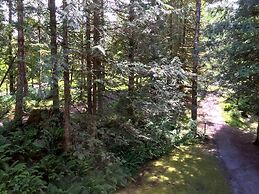 38SW - WiFi - Fireplace - Dishwasher - W/D - Sleeps 6