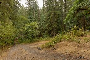 43SL - Hot Tub - Pets Ok - BBQ - WiFi - D/W