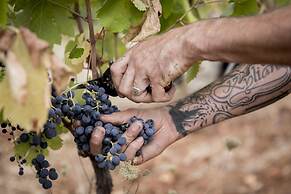 Domaine Rabiega - vineyard and boutique hotel