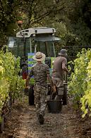 Domaine Rabiega - vineyard and boutique hotel