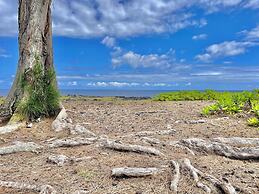 Hale Honu 2 Bedroom Home by RedAwning