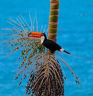 Pousada Refugio Caiçara