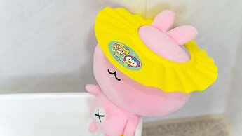 Jeju Kidsgajok Badatgahauseu