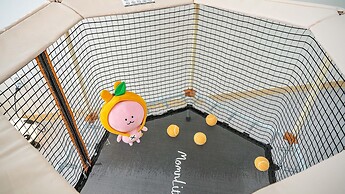 Jeju Kidsgajok Badatgahauseu