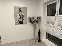 Stunning 2-Room Penthouse Lakeview W11